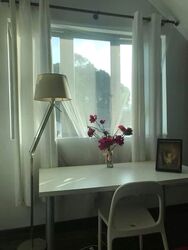 Serangoon Garden Estate (D19), Semi-Detached #538971311